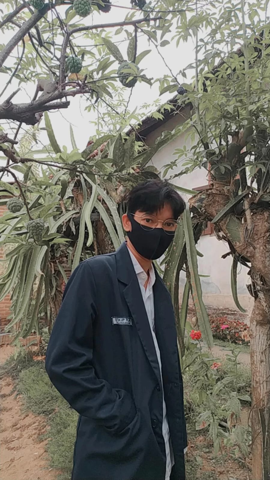 Mountains in the Clouds